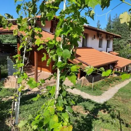 райчевата къща - Ferienhaus *
