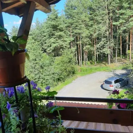 райчевата къща - קיוסטנדיל