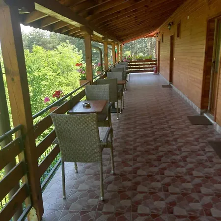 райчевата къща - *