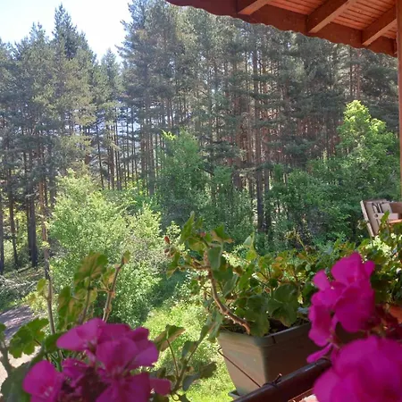 Ferienhaus райчевата къща -