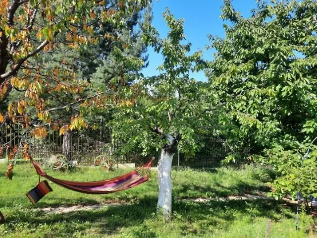 райчевата къща - Dom wakacyjny Kiustendił