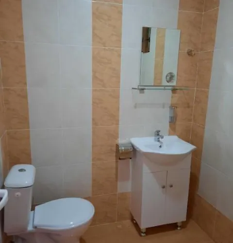 райчевата къща - *