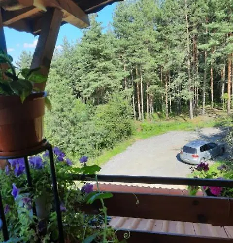 райчевата къща - Kiustendił