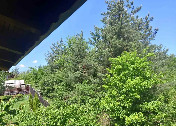 Dom wakacyjny райчевата къща - *